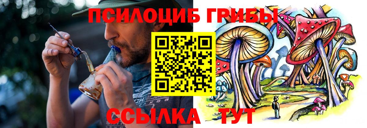 Псилоцибиновые грибы Psilocybe Медногорск